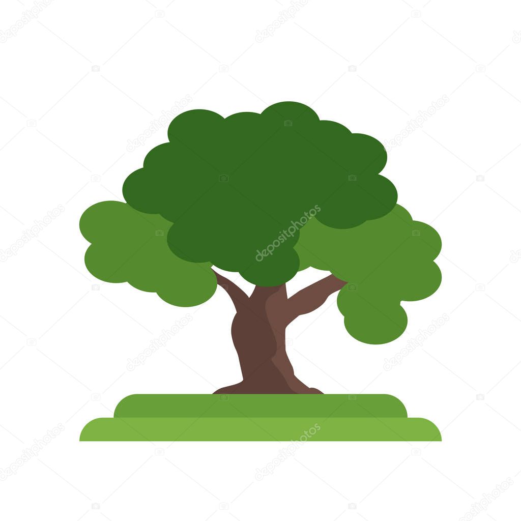 The Oaks tree icon vector sign and symbol isolated on white back