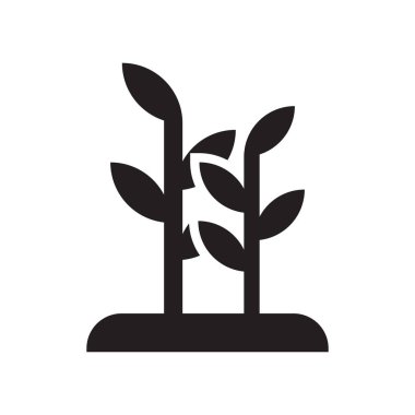 Bitki simgesi simge vektör işareti ve üzerinde beyaz backgro izole sembolü