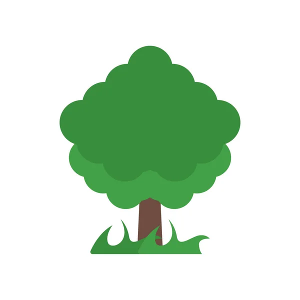 Árbol icono signo vectorial y símbolo aislado sobre fondo blanco, T — Vector de stock