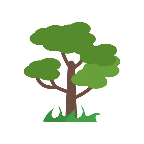 Árbol icono signo vectorial y símbolo aislado sobre fondo blanco, T — Vector de stock