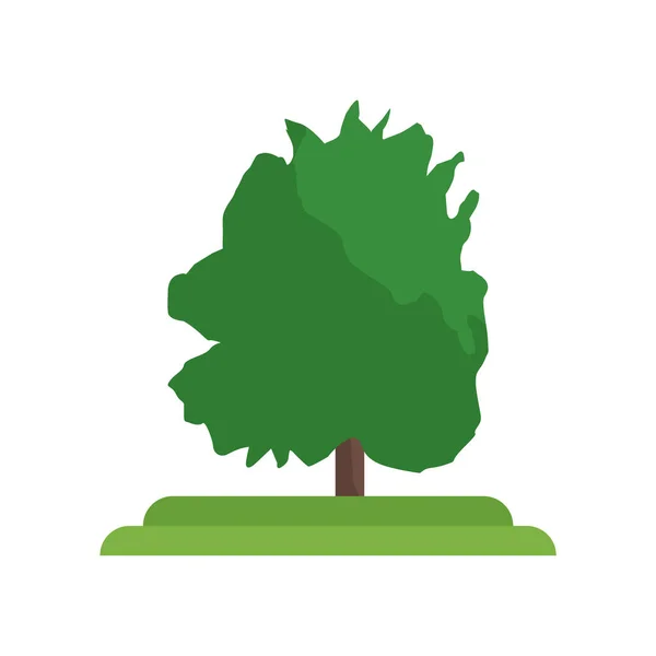 American Hophornbeam tree icon sign and symbol isolated o — стоковый вектор