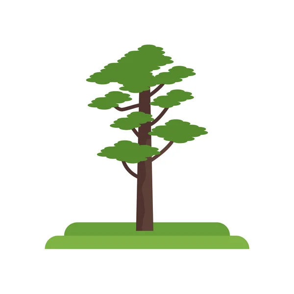 Czerwona sosna drzewo ikona wektor znak i symbol na białym tle na biały tył — Wektor stockowy
