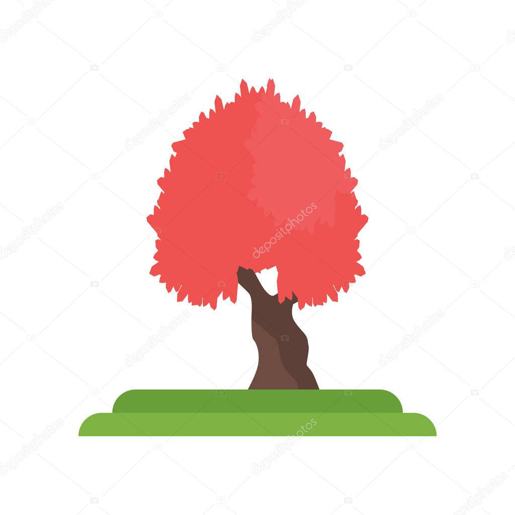 Red Maple tree icon vector isolated on white background for your web and mobile app design, Red Maple tree logo concept