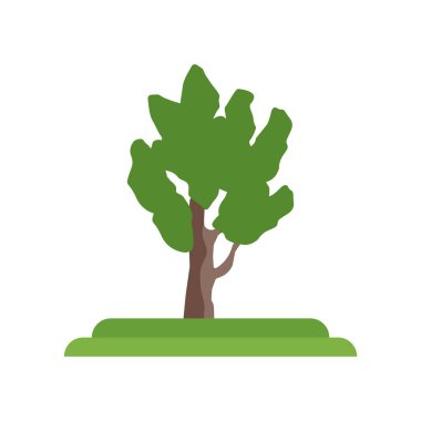 Doğu Cottonwood ağaç simge vektör işareti ve üzerinde izole sembolü 