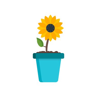 Ayçiçeği simge vektör işareti ve beyaz arka plan üzerinde ayçiçeği logo kavramı izole sembolü