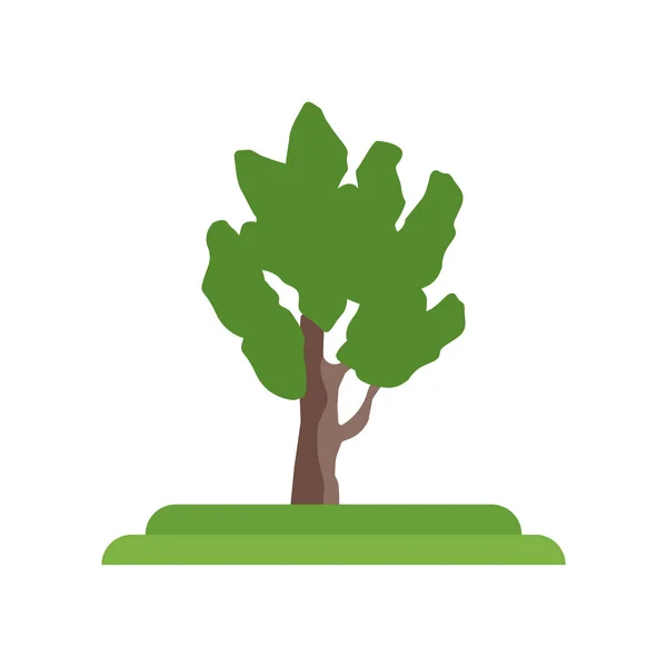 Eastern Cottonwood albero icona segno vettoriale e simbolo isolato su — Vettoriale Stock