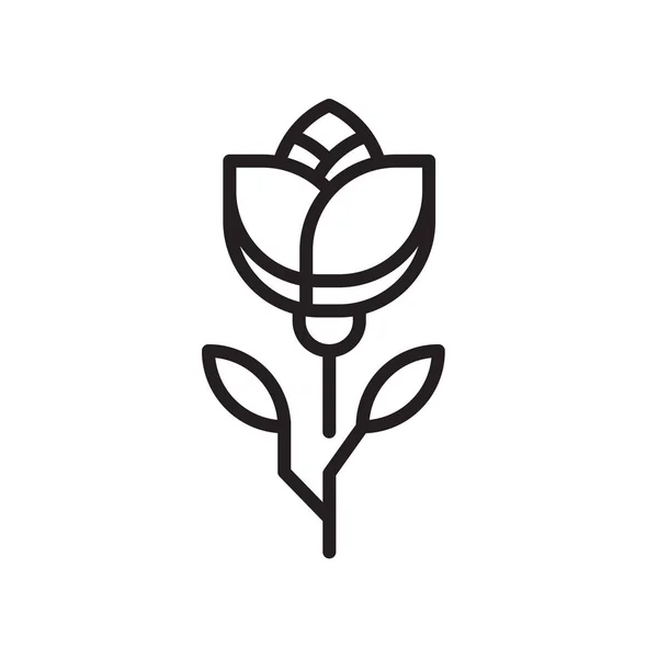 Flor icono signo vectorial y símbolo aislado sobre fondo blanco , — Vector de stock