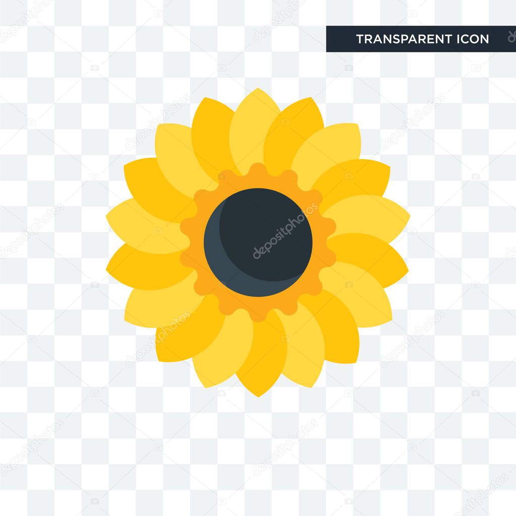 Sunflower vector icon isolated on transparent background, Sunflower logo concept