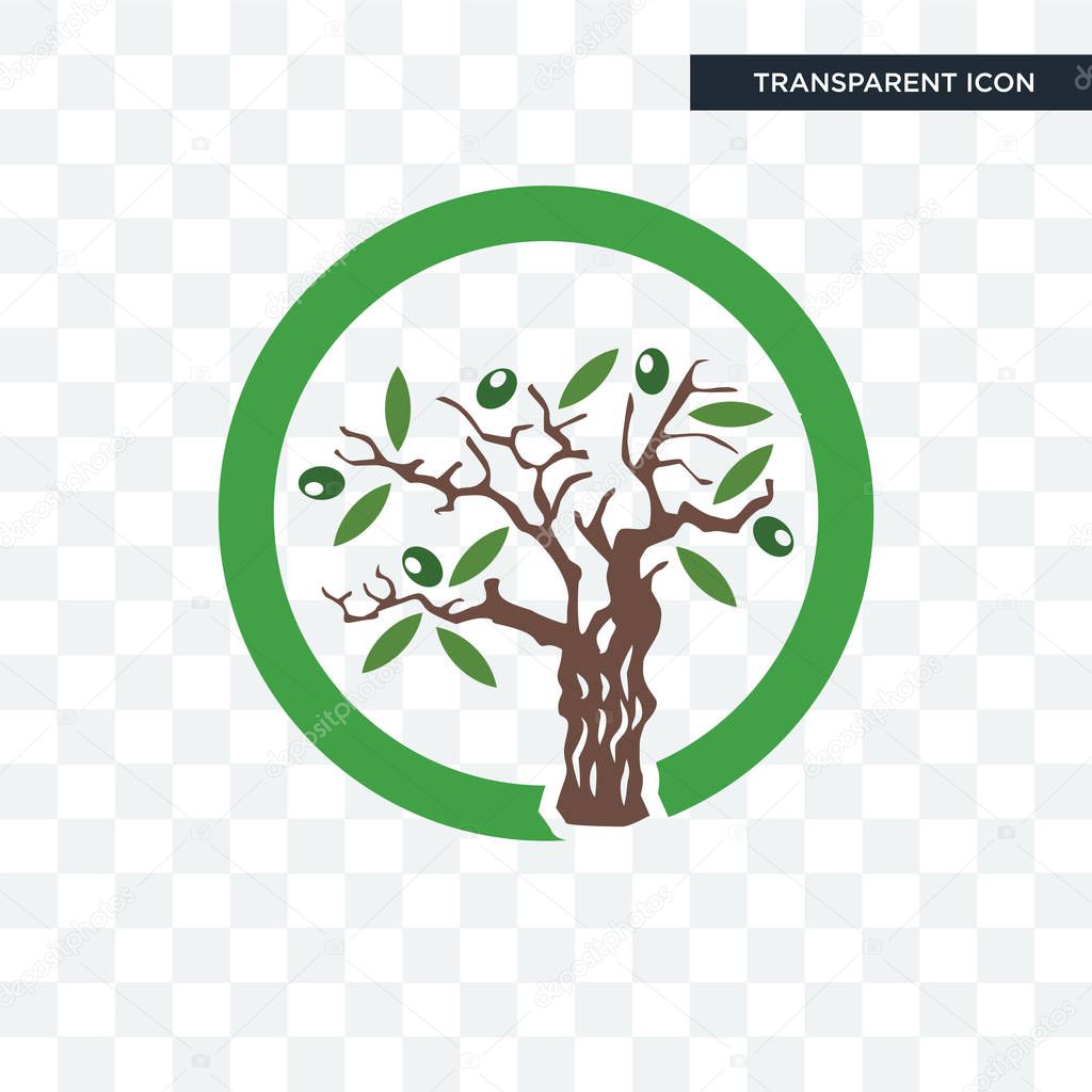 Olive tree vector icon isolated on transparent background, olive tree logo concept