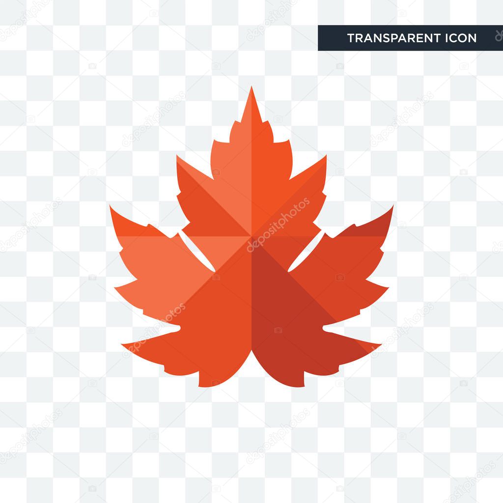 Maple leaf vector icon isolated on transparent background, maple leaf logo concept
