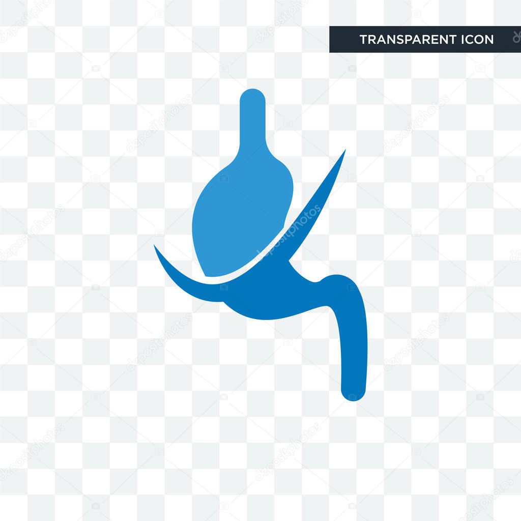 Gastroenterology vector icon isolated on transparent background, gastroenterology logo concept