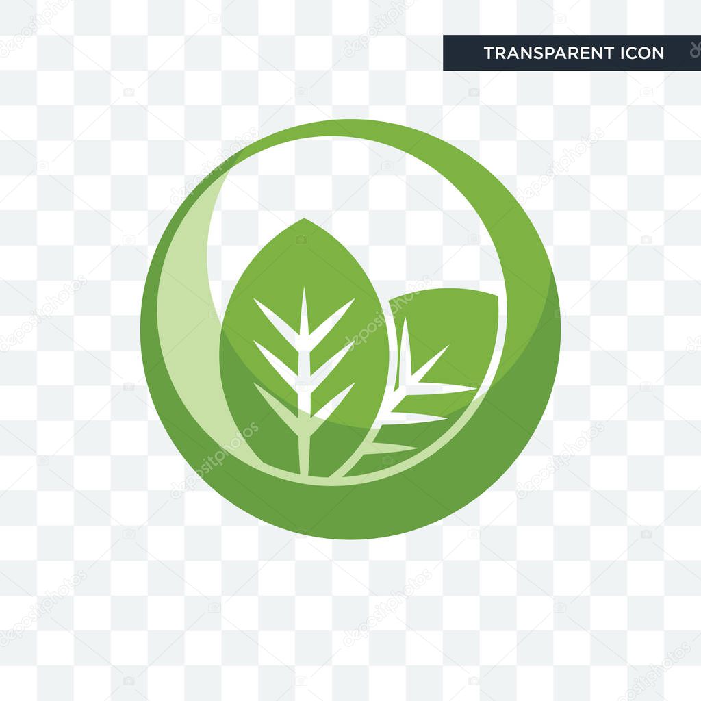 Leaf vector icon isolated on transparent background, leaf logo concept