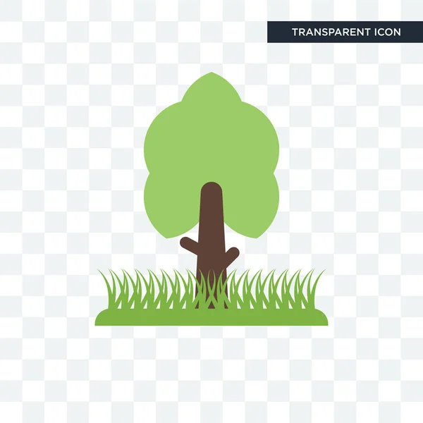 ไอคอนเวกเตอร์ต้นไม้แยกจากพื้นหลังที่โปร่งใส, โลโก้ต้นไม้ d — ภาพเวกเตอร์สต็อก