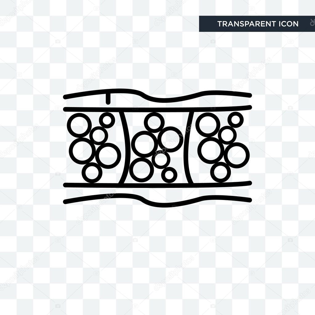 Cellulite vector icon isolated on transparent background, Cellulite logo concept