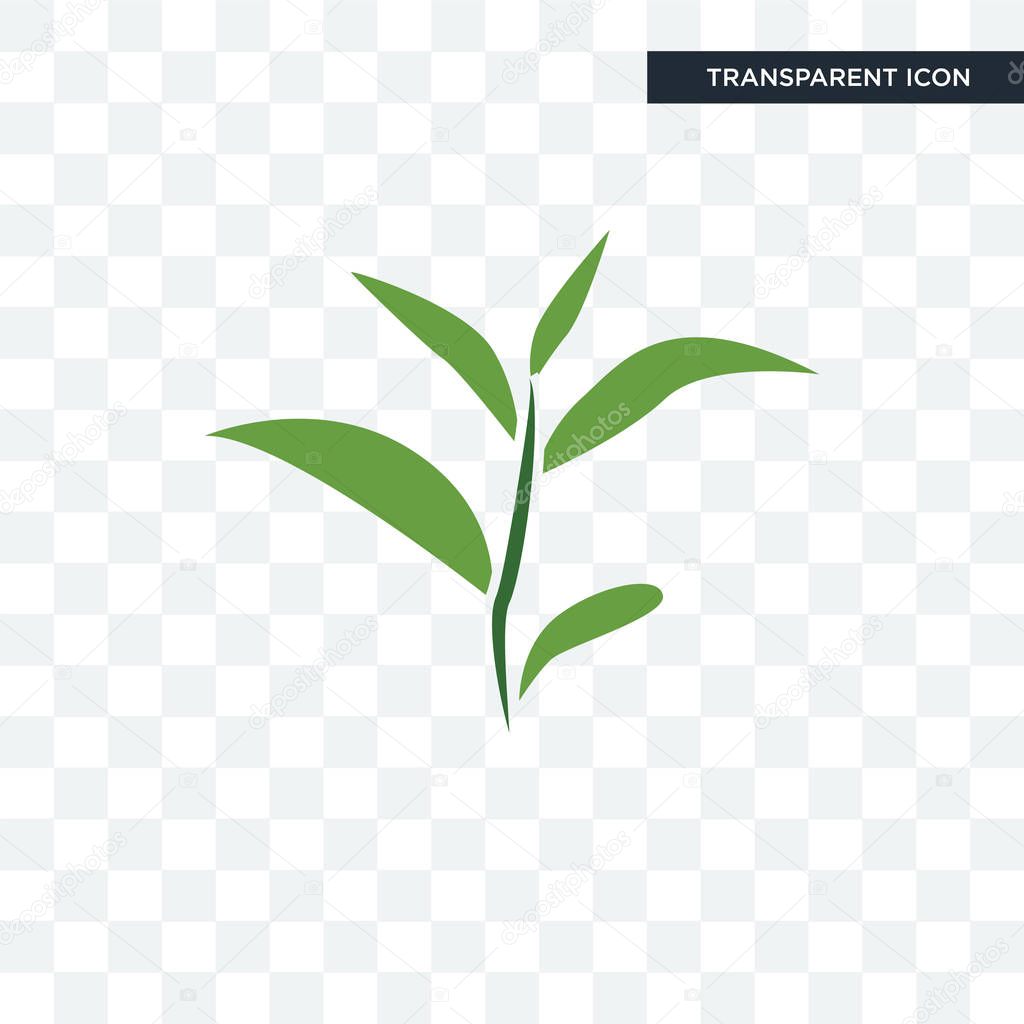 Tea leaf vector icon isolated on transparent background, tea leaf logo concept