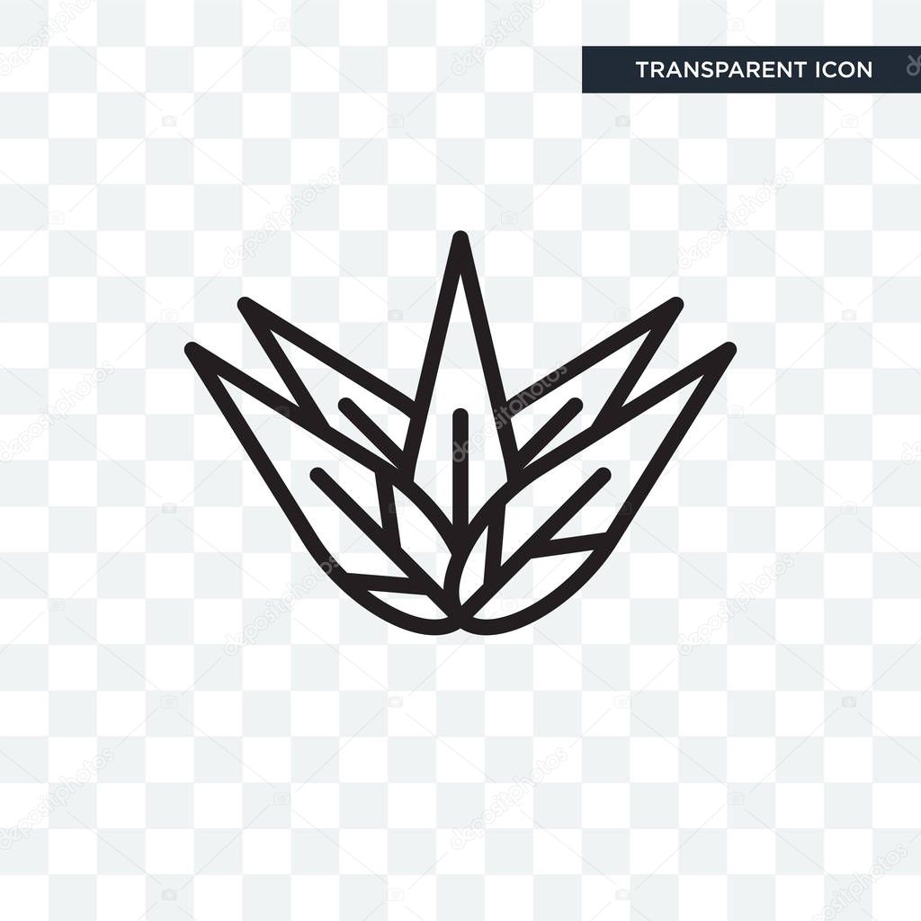 Agave vector icon isolated on transparent background, Agave logo concept