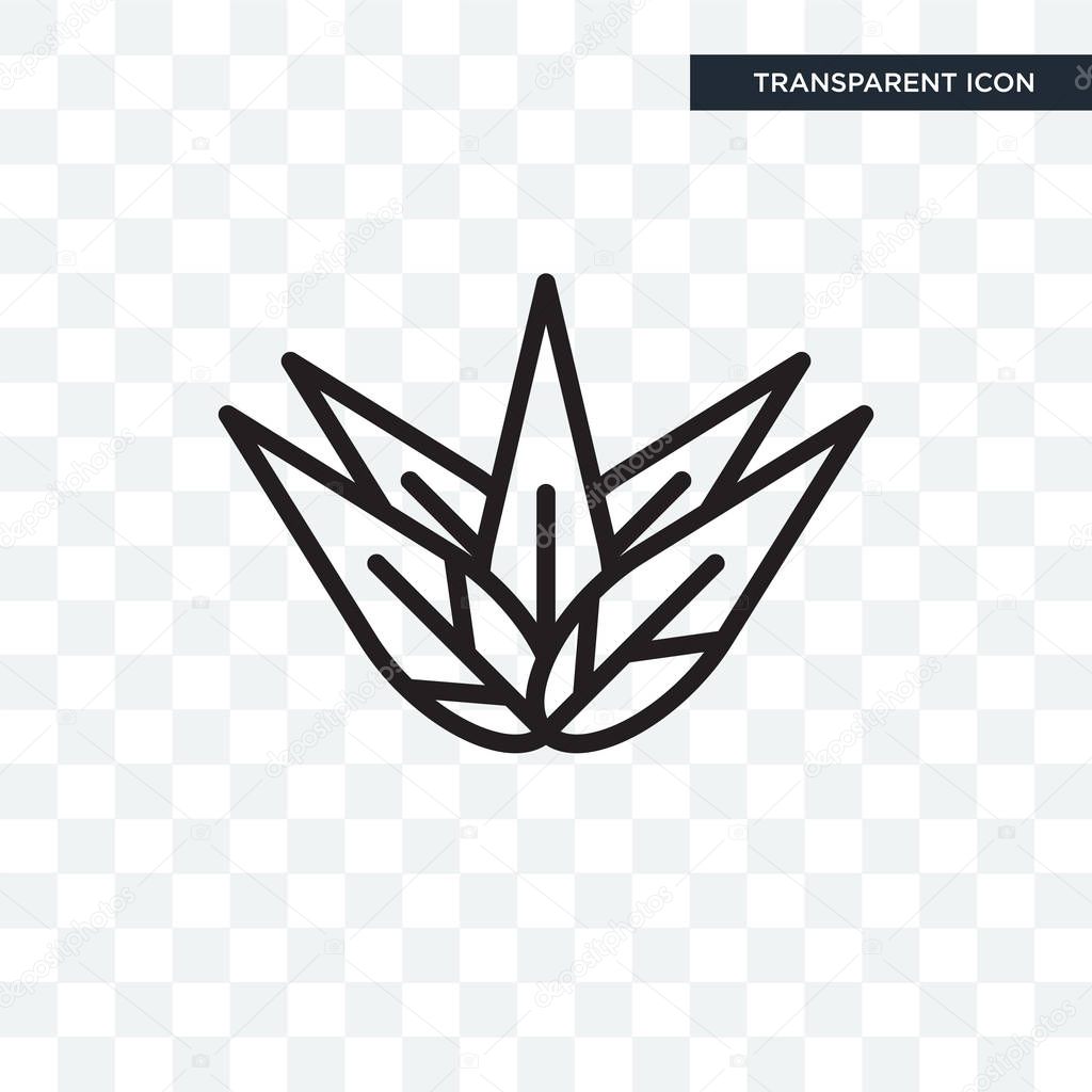 Agave vector icon isolated on transparent background, Agave logo