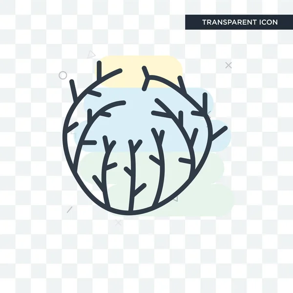 Ícone do vetor tumbleweed isolado em fundo transparente, tumbl — Vetor de Stock