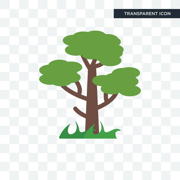 Tree vector icon isolated on transparent background, Tree logo d — Stock Vector