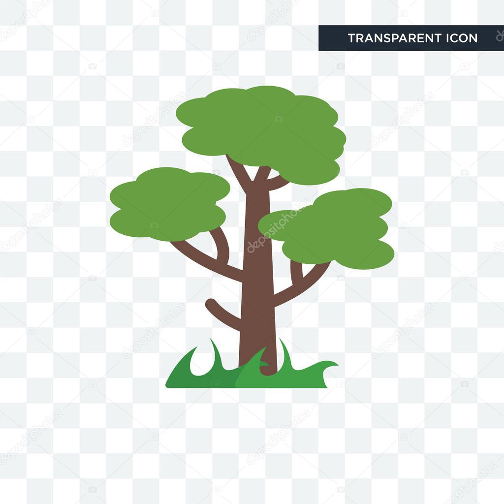Tree vector icon isolated on transparent background, Tree logo concept