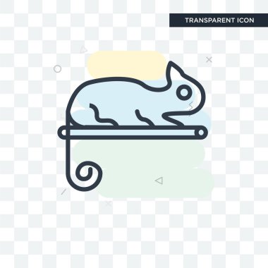 Saydam arka plan üzerinde Chamel izole bukalemun vektör simgesi