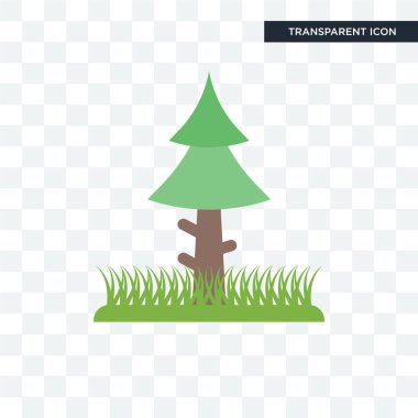 Saydam arka plan üzerinde ağaç logosu d izole ağaç vektör simgesi