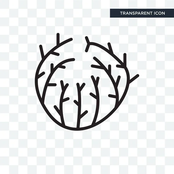 Tumbleweed vector icon isolated on transparent background, Tumbl — Stock Vector