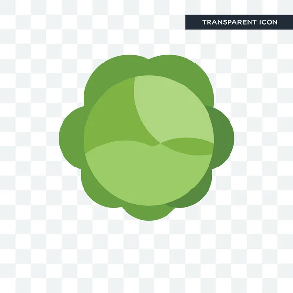 Cabbage vector icon isolated on transparent background, cabbage — Stock Vector