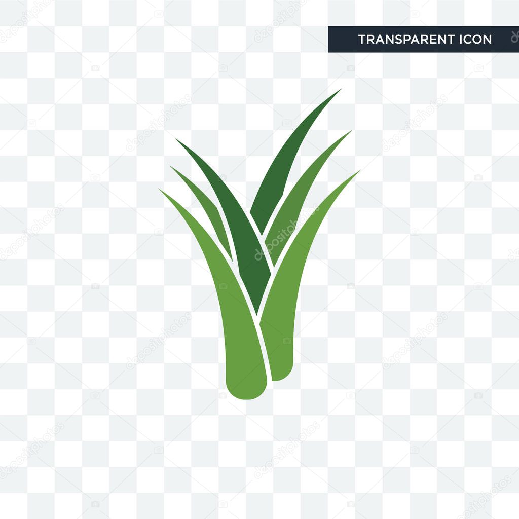 Aloe vera vector icon isolated on transparent background, aloe vera logo concept