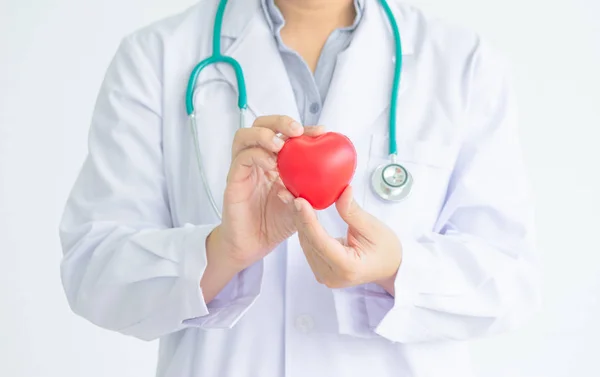 Doutor Com Estetoscópio Enforcado Está Segurando Forma Coração Borracha Vermelha — Fotografia de Stock