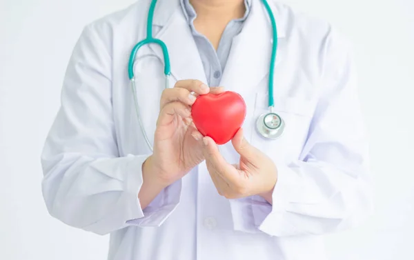 Arzt Mit Hängendem Stethocope Hält Rotes Gummiherz Zwei Händen — Stockfoto