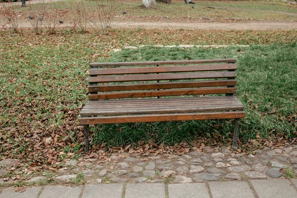 秋の公園の茶色のベンチ — ストック写真