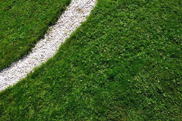 Lawn in Peterhof