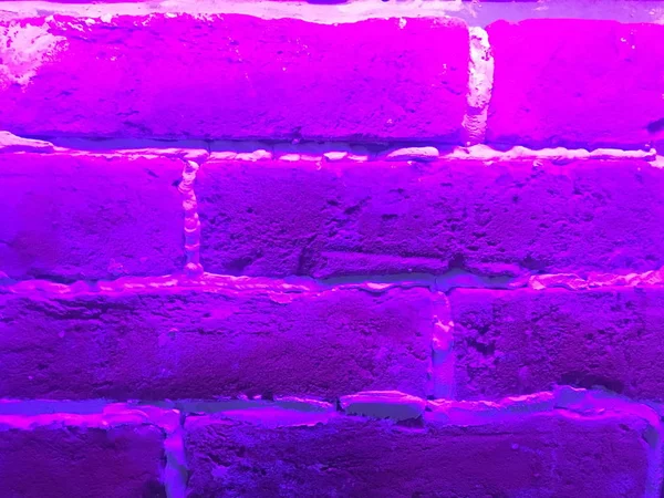 Mur de briques en lumière ultraviolette — Photo