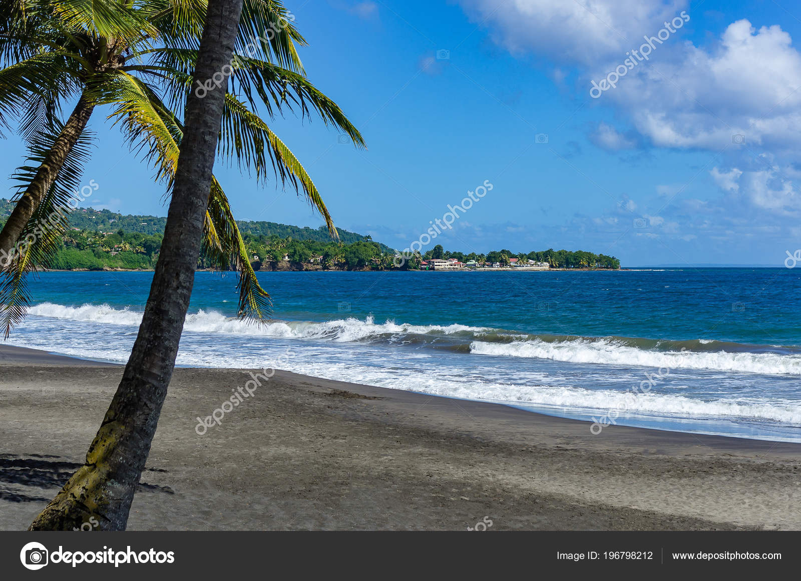 Plage Noir Avec Des Palmiers Premier Plan Basse Terre