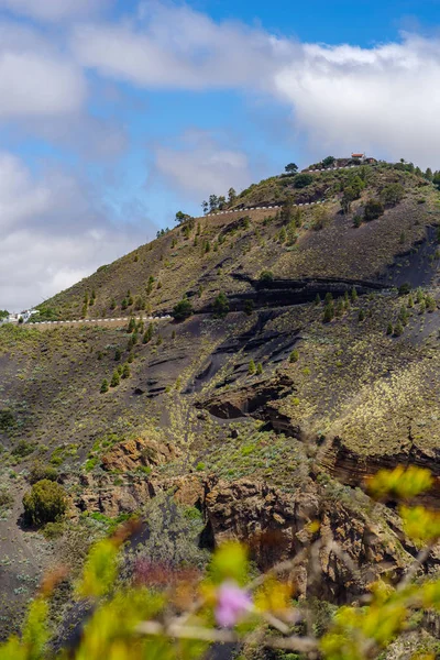 Pico görünümüne de Bandama Bandama krater, Gran Canaria, Kanarya Adaları, İspanya üzerinden
