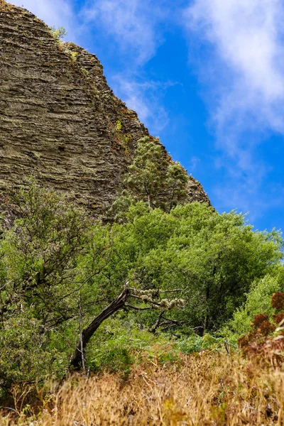 Bergkante Vor Blauem Himmel Gras Und Grüne Bäume Vordergrund — Stockfoto