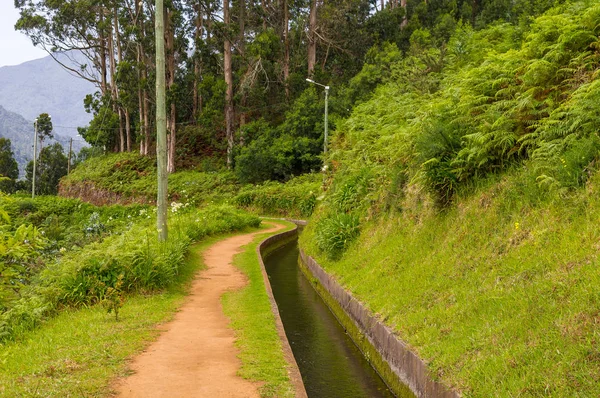 Eintrag Einen Levada Wanderweg Auf Madeira Portugal lizenzfreie Stockbilder