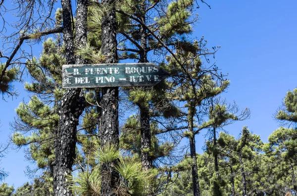 Pikniğe giderken yer Fuente Roques del Pino, La Palma, Canary Islands, Spain
