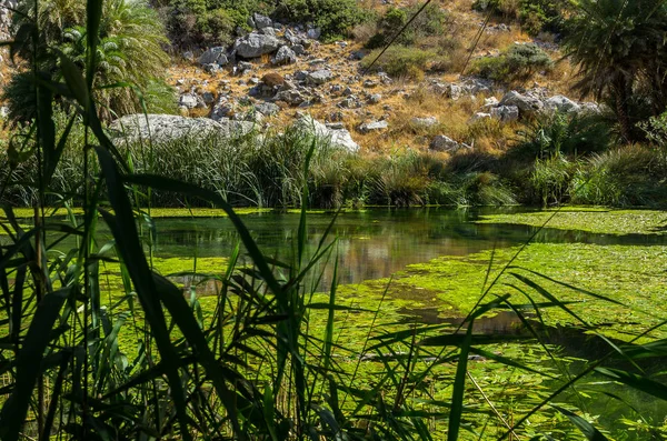 Dereye Preveli Vadisi, Crete, Yunanistan