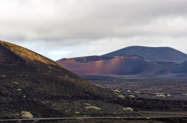 La Geria Vadisi, Lanzarote, Kanarya Adaları, İspanya görüntülemek