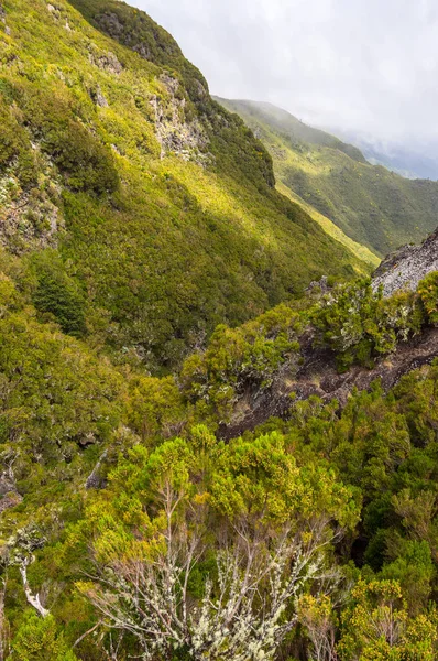 Valle Rabacal Madeira Portugal — Foto de Stock