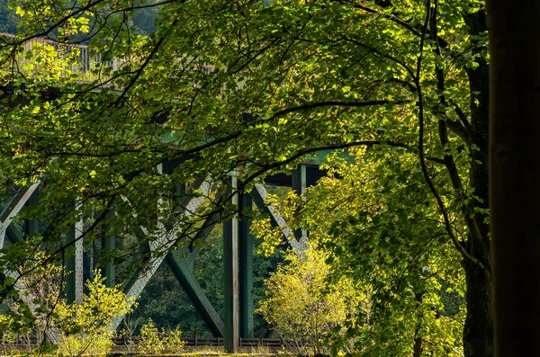 Eisenbahnbrücke Aus Stahl Hinter Bäumen Über Die Ruhr Essen Kreis — Stockfoto