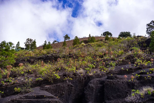 Sokaklarda Pico de Bandama, Gran Canaria, Kanarya Adaları, İspanya kadar görüntülemek
