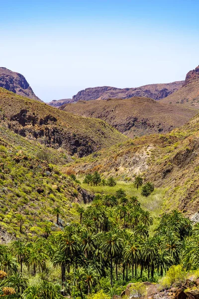 Arteara Vadisi üzerinde göster