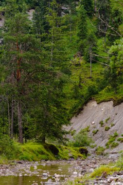 Archbach valley yakınındaki Reutte, Tirol, Avusturya