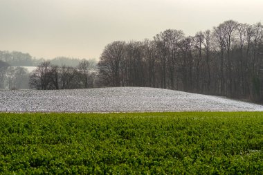 Tarım alanları kısmen karla kaplı