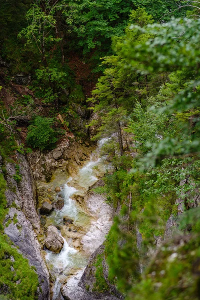 Olhe Para Desfiladeiro Poellat Hohenschwangau Baviera Alemanha — Fotografia de Stock