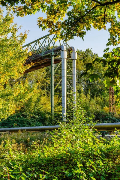 Industrieröhren Der Natur — Stockfoto