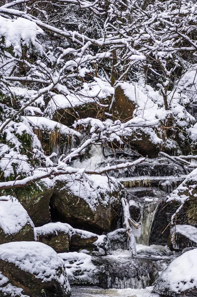 Basamaklı su Holtemme, Steinerne Renne, Harz, Almanya